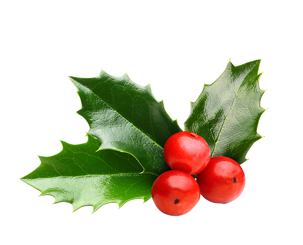 Xmas Holly Decoration